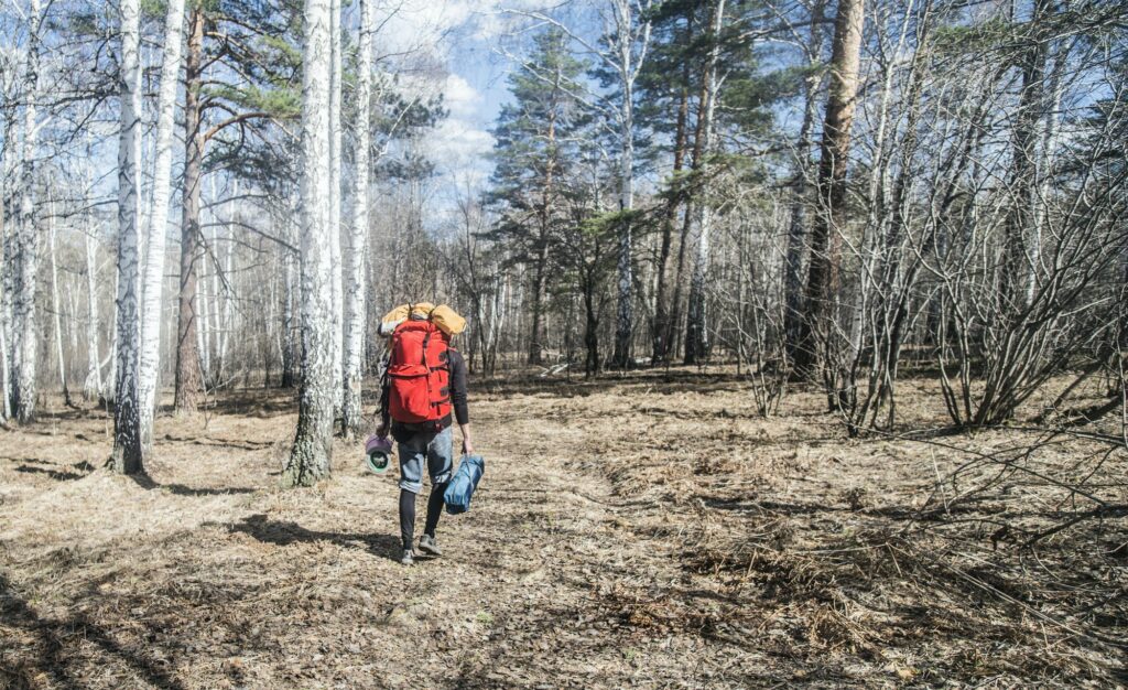 Rear view of young male hiker with backpack in forest